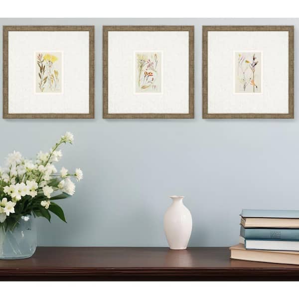 3 Piece Framed Graphic Print Plants and Flowers 13.00 in. x 13.00 in.