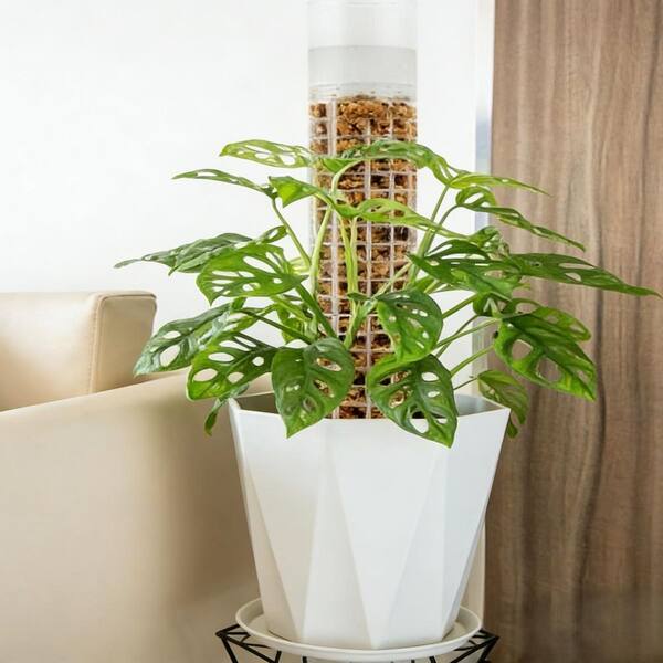 4-Pieces Self-Watering Moss Pole Plant Support, Plant Cover HPCJ9T217X -  The Home Depot