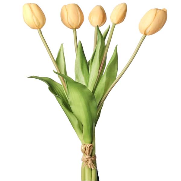 20" Plastic Soft Touch Tulip Bundle Set of 2