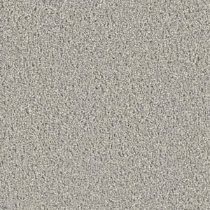 Delicate Flower  - Tender - Gray 40 oz. SD Polyester Texture Installed Carpet