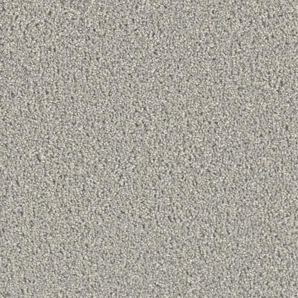 Home Decorators Collection Delicate Flower  - Tender - Gray 40 oz. SD Polyester Texture Installed Carpet