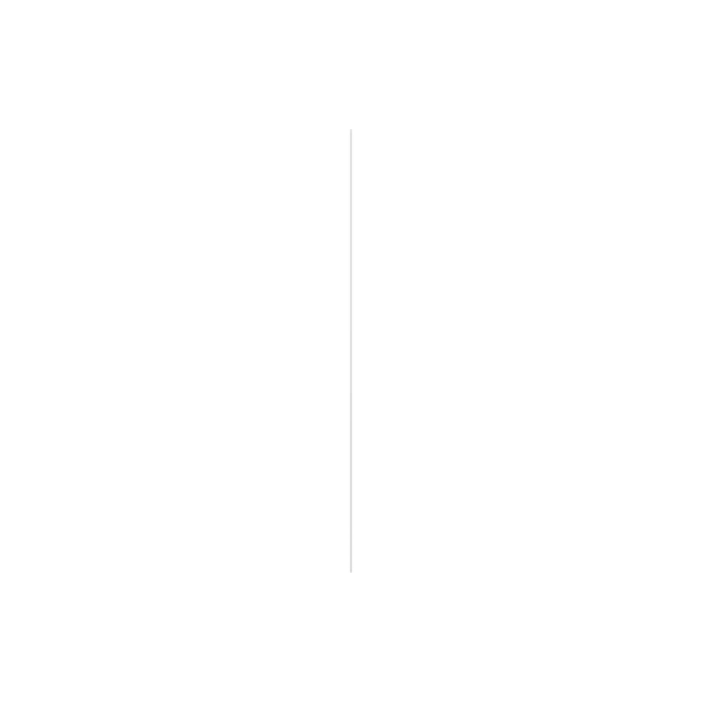 Adjustable White Acrylic Slat Wall Panel Kit