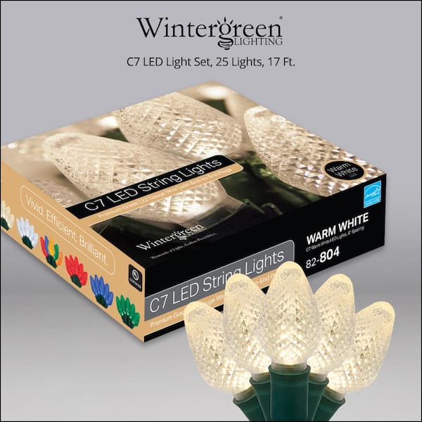 Wintergreen Lighting 24 ft. 70-Light Blue 5 mm LED Mini Light Set 20353 -  The Home Depot