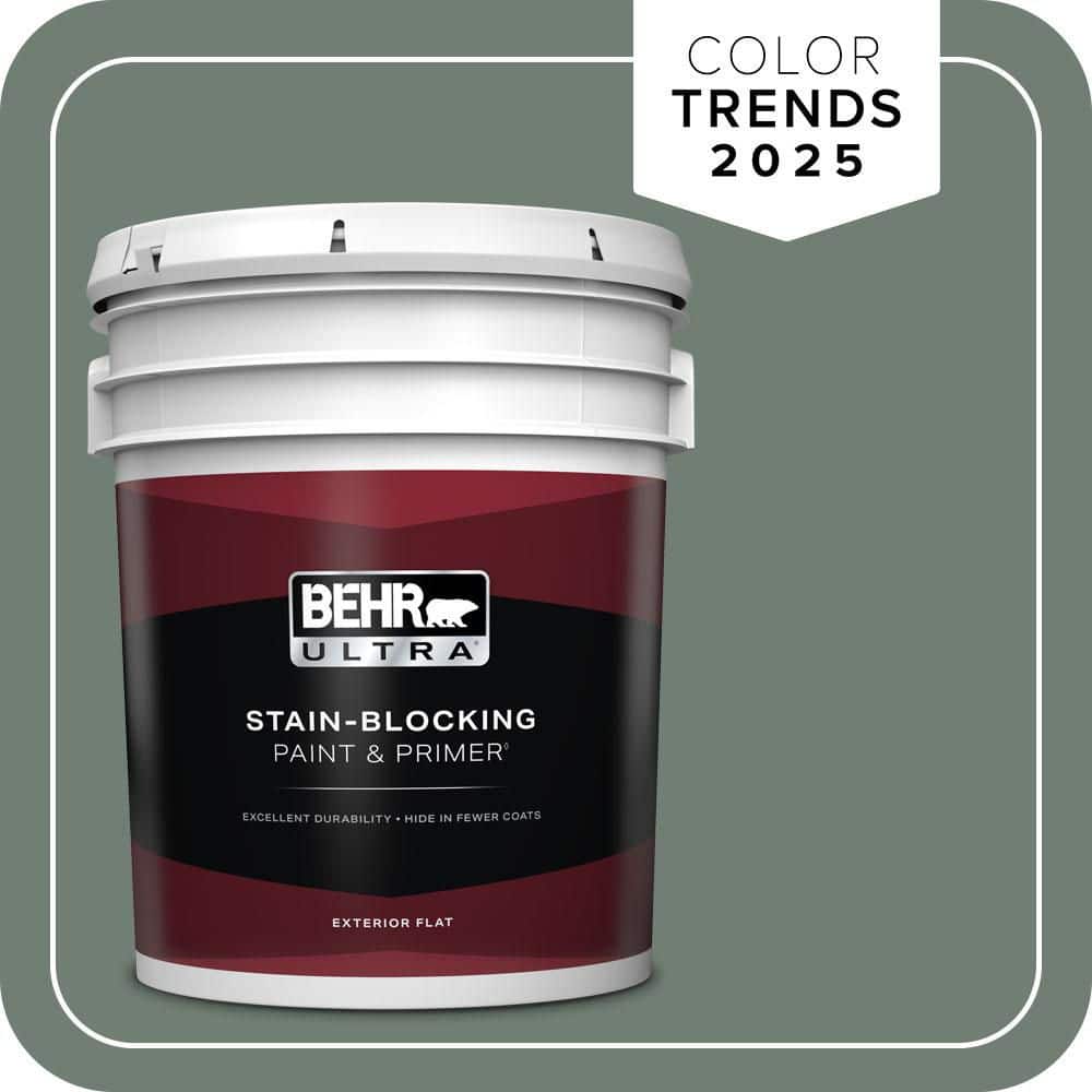 5 gal. #N420-5 Boreal Flat Exterior Paint & Primer price history on PriceWatchPro