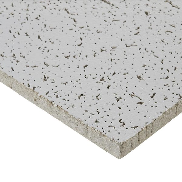 Armstrong CEILINGS Random Textured 2 ft. x 2 ft. Textured