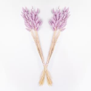 25 in. Orchid Bloom Dried Natural Bunny Tails (2-Pack)