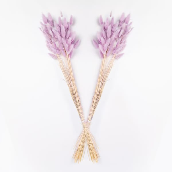 Bindle & Brass 25 in. Orchid Bloom Dried Natural Bunny Tails (2-Pack)