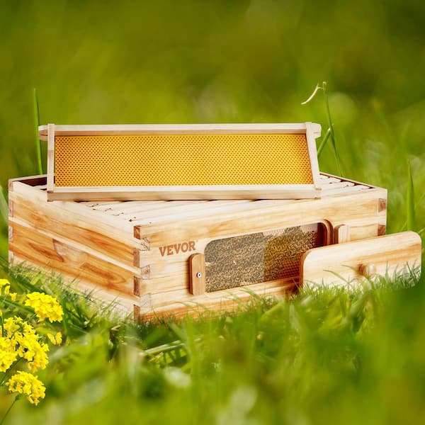 Bee Hive Medium Box Starter Kit, 100% Beeswax Coated Natural Cedar Wood, Langstroth Beehive Kit