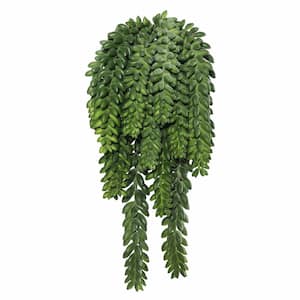 13 in. Green Artificial Donkey's Tail Leaf Stem
