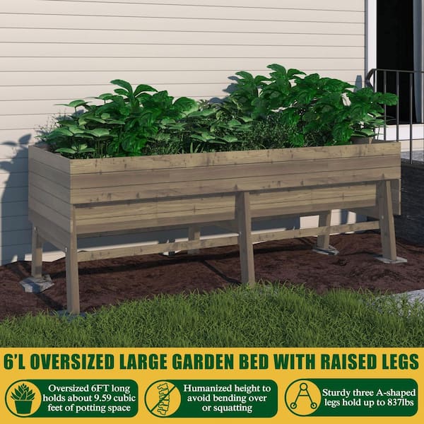 71 in. L x 31 in. W Large Cedar Wood Raised Garden Bed Outdoor with Legs and Liner, Mocha Brown