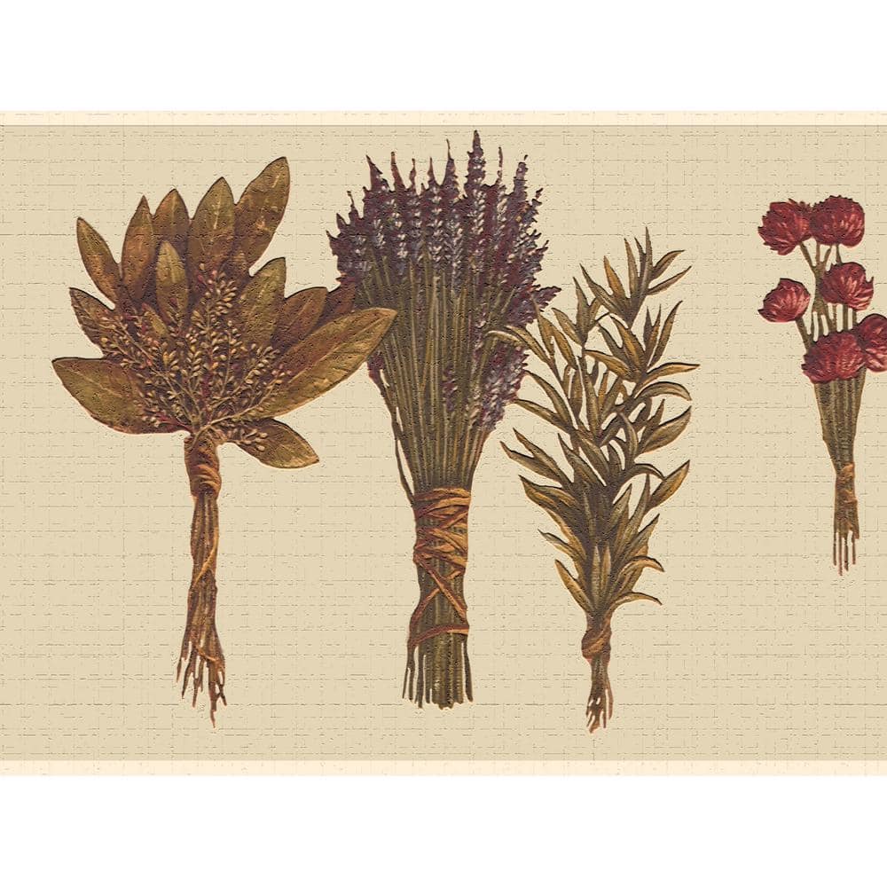 Falkirk Dandy II Green Beige Plants Floral Peel and Stick Wallpaper Border price history on PriceWatchPro