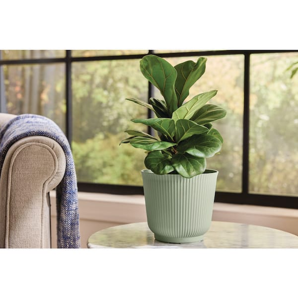 6 in. Tierney Sage Green Ribbed Resin Planter (6 in. D x 5.7 in. H)