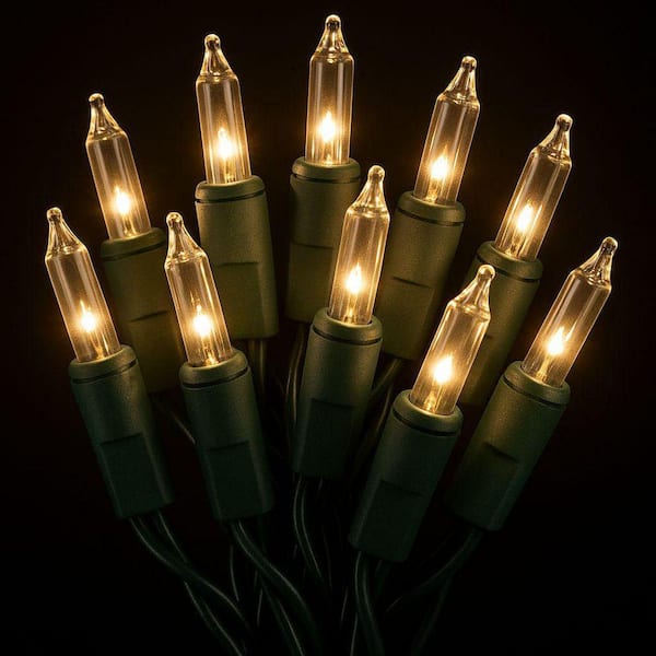 Clear Incandescent Christmas String Lights Indoor,100 Count Mini Warm White Fairy Light,21.5ft. Lighting Deco,Green Wire