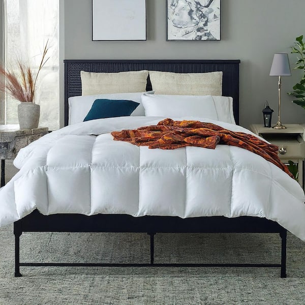 Martha stewart shops King microfiber 4 pc quilt set $120