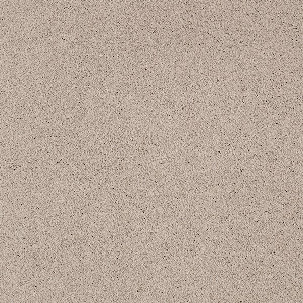 Lifeproof Appreciate I  - Gangplank - Brown 47 oz. Triexta Texture Installed Carpet