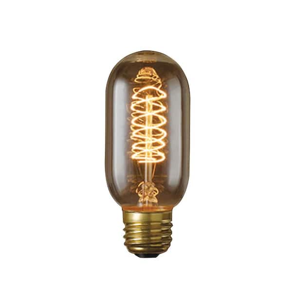 Bulbrite 40-Watt Incandescent T14 Light Bulb (5-Pack)