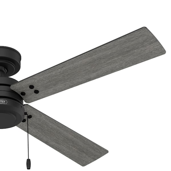 Hunter Midnight Prairie 52 in. Indoor/Outdoor Matte Black Standard