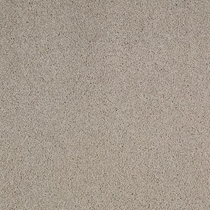 Cleoford Pebble Trail Gray 47 oz.Triexta Texture Installed Carpet