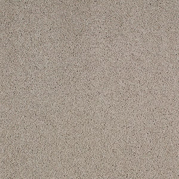 Lifeproof with Petproof Technology Cleoford Pebble Trail Gray 47 oz.Triexta Texture Installed Carpet