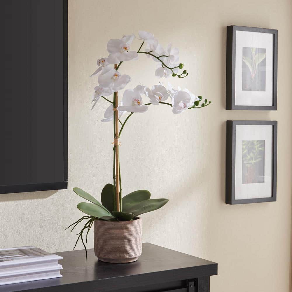 29 in. White Artificial Orchid in Cement Pot