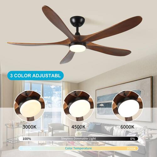 62 in. Indoor/Outdoor Black Modern Ceiling Fan with Light and Remote Control, for Patios, Bedrooms, and Farmhouses Staykiwi Ceiling Fans With Lights