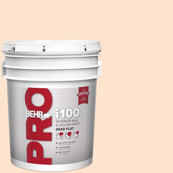 BEHR PRO 5 gal. #PPL-21 Sweet Peach Dead Flat Interior Paint