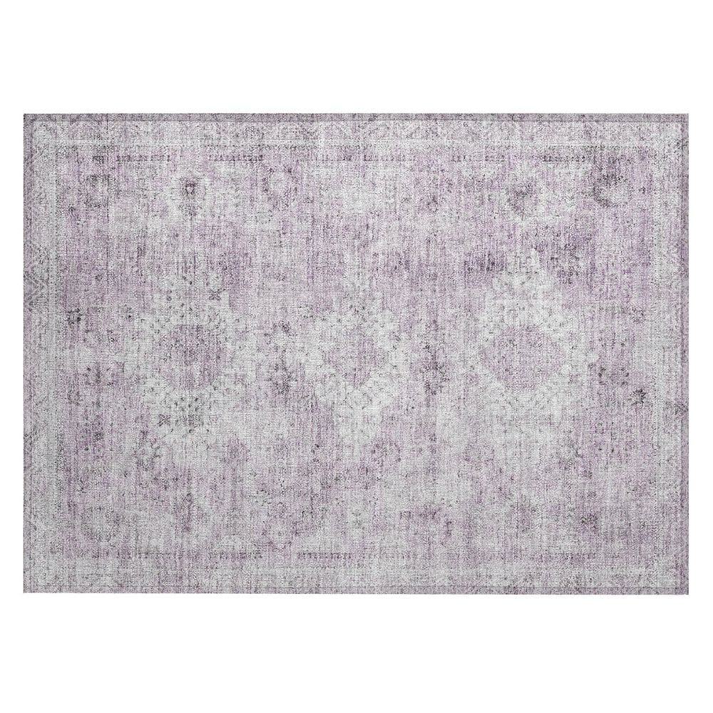 Chantille Machine Washable Indoor/Outdoor Abstract ACN2809 Lilac 3 ft. x 4 ft. Area Rug price history on PriceWatchPro
