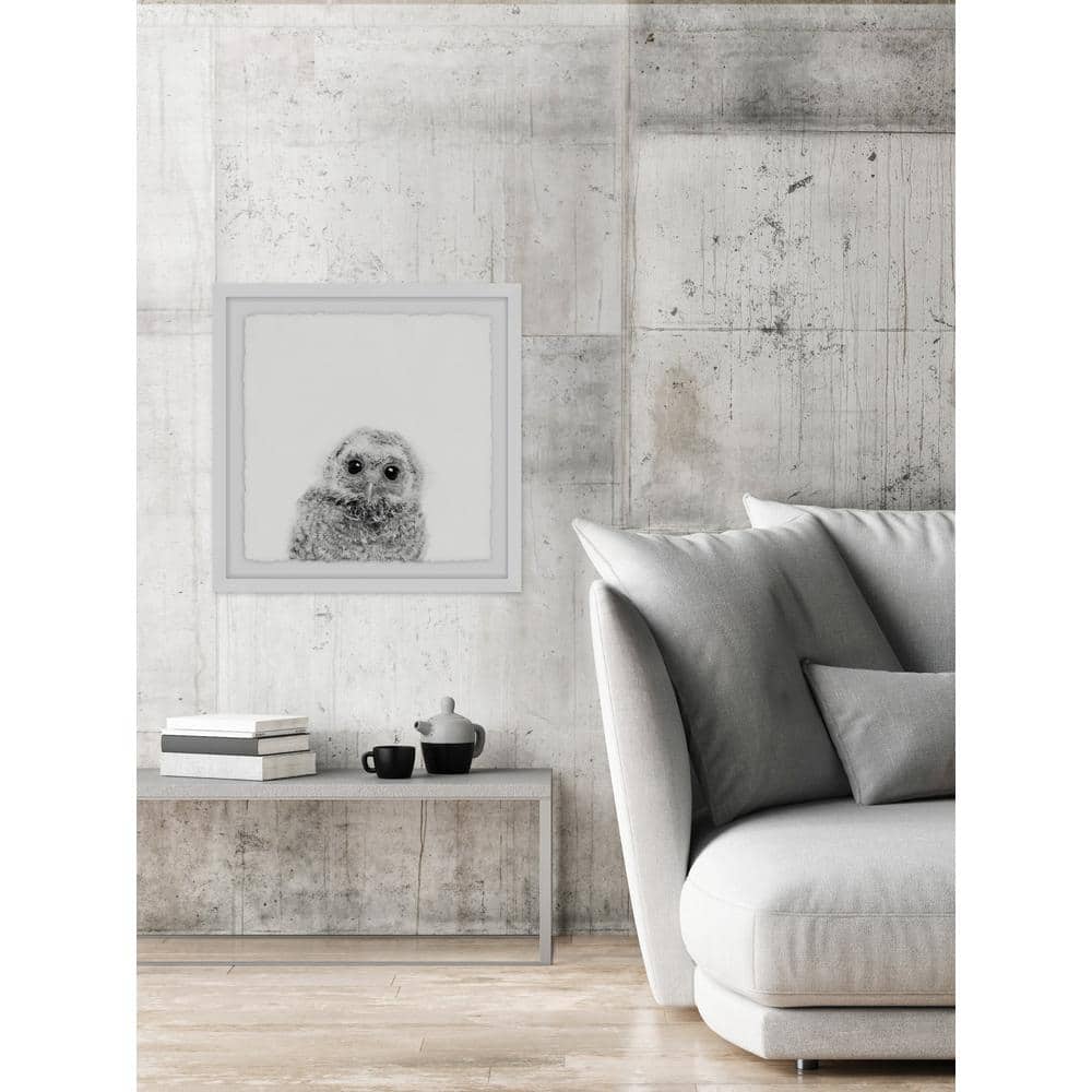 20" x 20" Gray and White Owl Framed Canvas Print