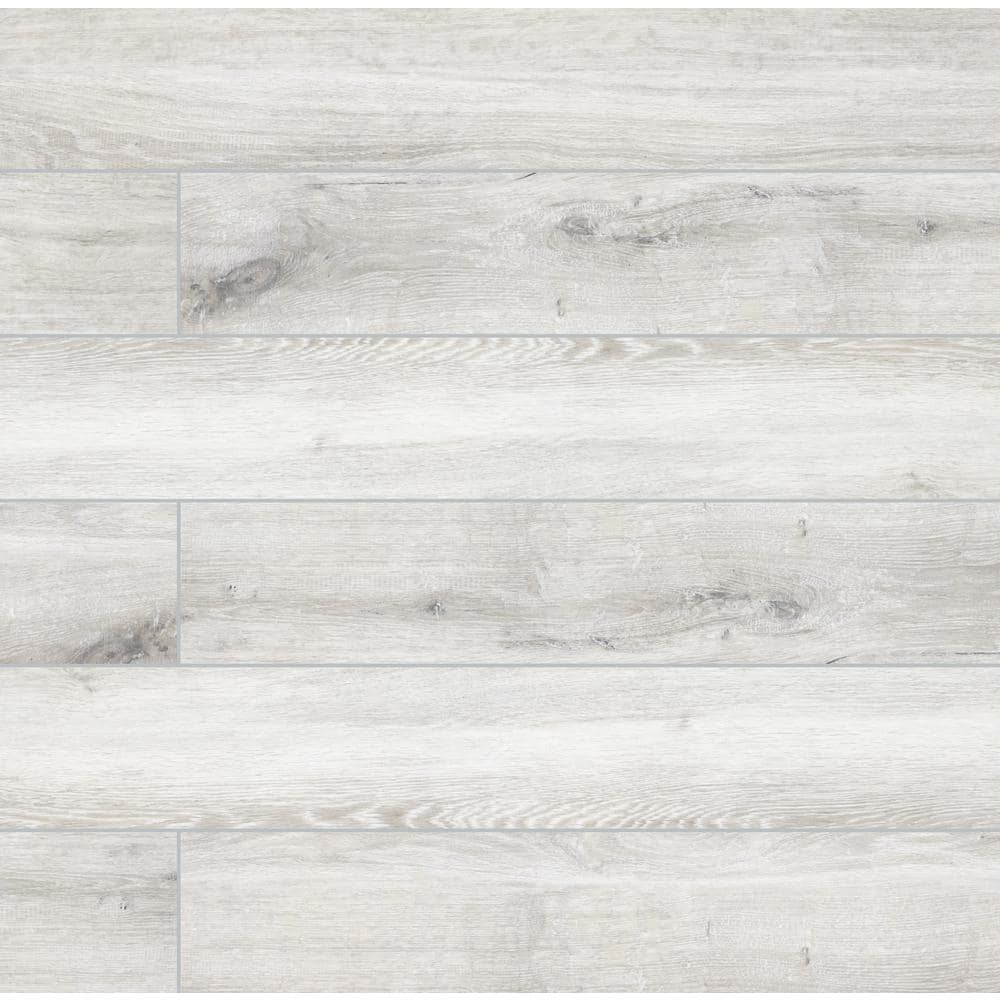 Take Home Tile Sample - Toledo Blanc 4 in. x 4 in. Matte Porcelain Floor and Wall Tile price history on PriceWatchPro