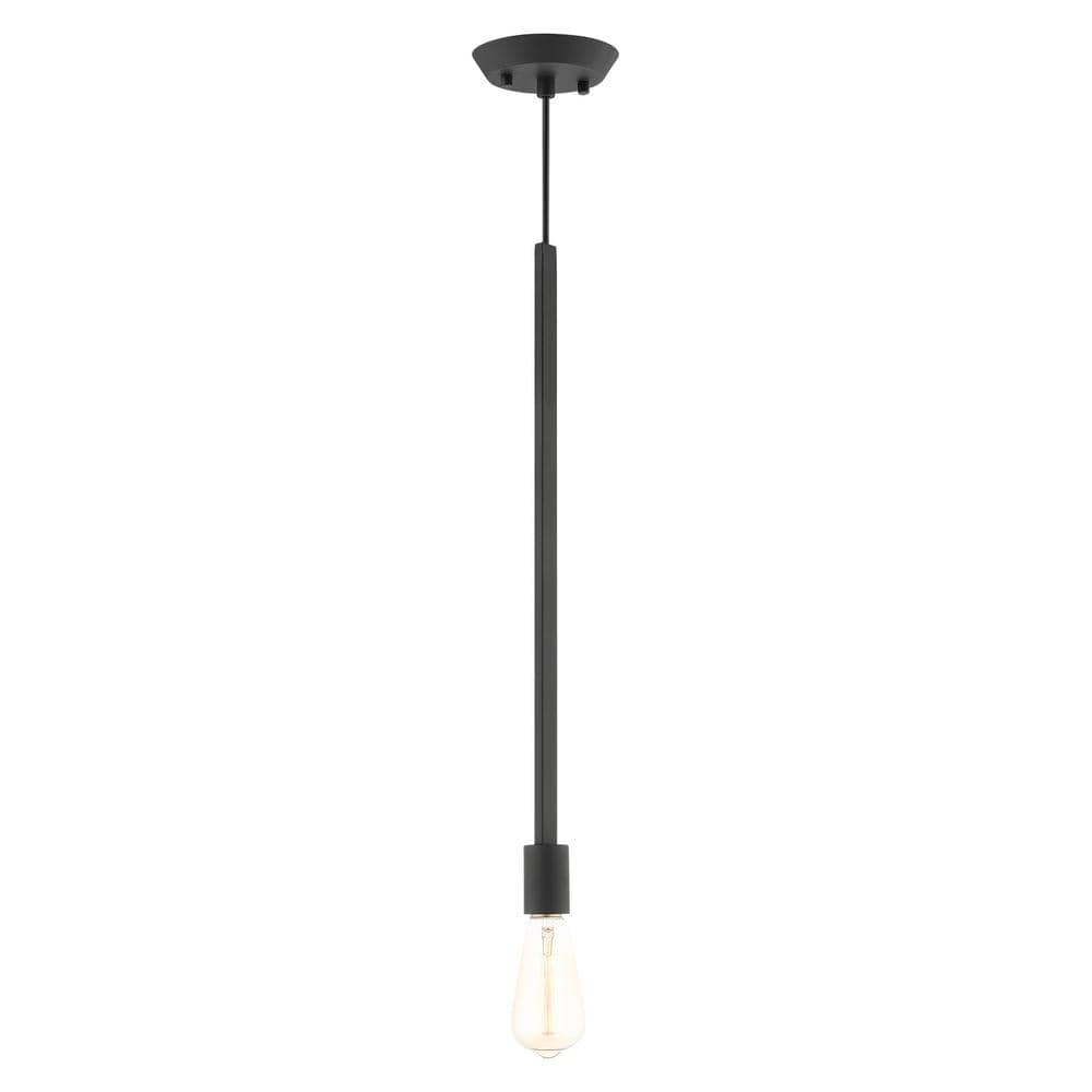 Vailwood 1-Light Black Single Pendant price history on PriceWatchPro