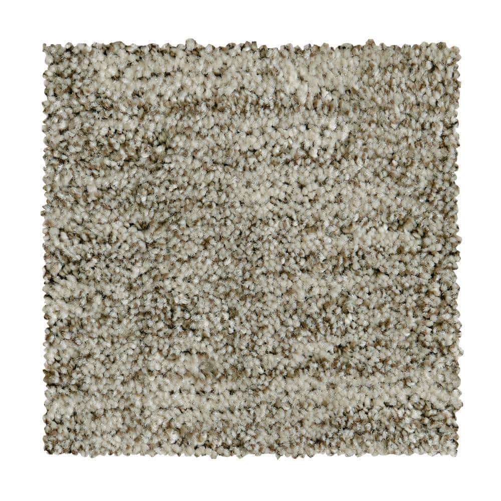 8 in. x 8 in. Pattern Carpet Sample - Corry Sound - Color Nougat price history on PriceWatchPro