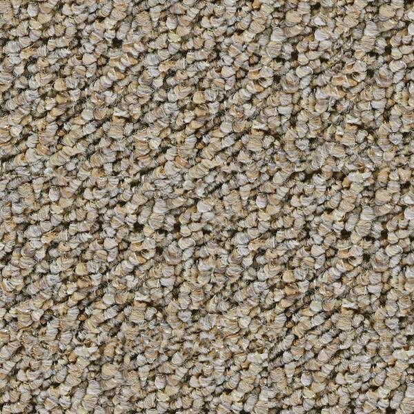 Beaulieu Carpet Sample - After Hours - In Color Suntan 8 in. x 8 in.