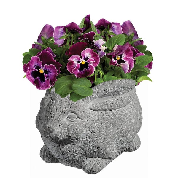 Cement Buddies Small Natural Cement Rabbit Planter