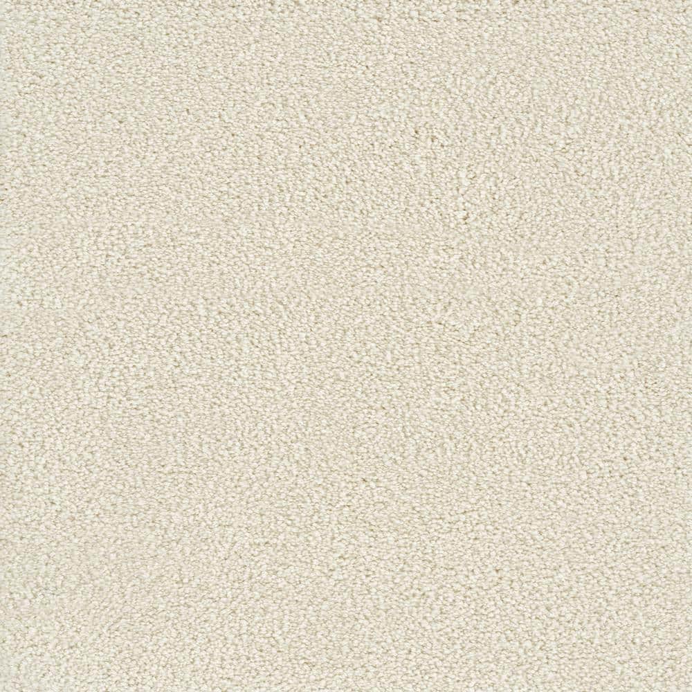 8 in. x  8 in. Texture Carpet Sample - Spicework II -Color Haven price history on PriceWatchPro
