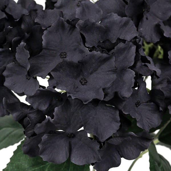 LIVING LUXURY 19 in. Black Artificial Hydrangea Flower Stem Bush