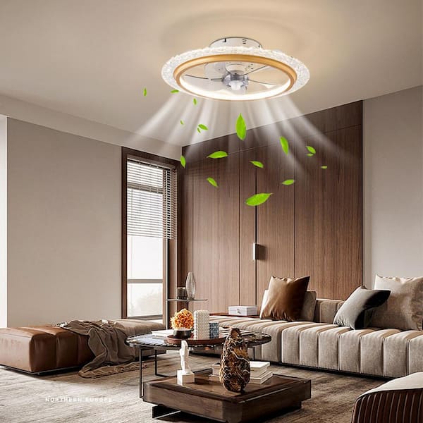 Low Profile 15.7 LED Small Ceiling Fan with Light - Modern, Semi-Enclosed  Flush Mount, Smart APP & Remote Control, 6-Speeds, Black - Perfect for