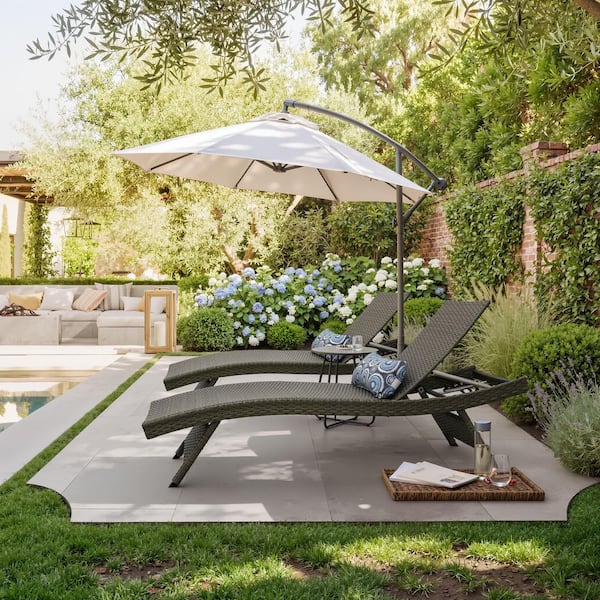 EDYO LIVING Nature All-Weather Adjustable Resin Outdoor Patio Chaise Lounger (Set of 2)