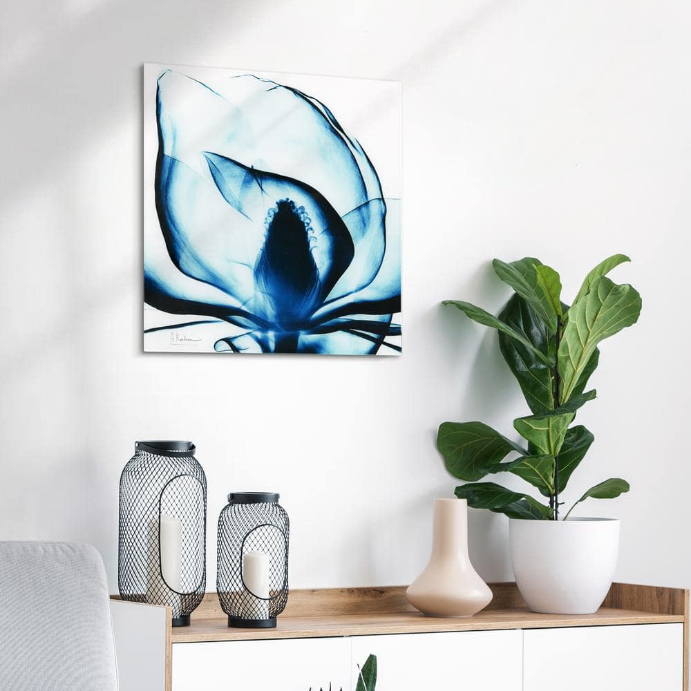 Blue Magnolia X-Ray Unframed Tempered Glass Landscape Wall Art