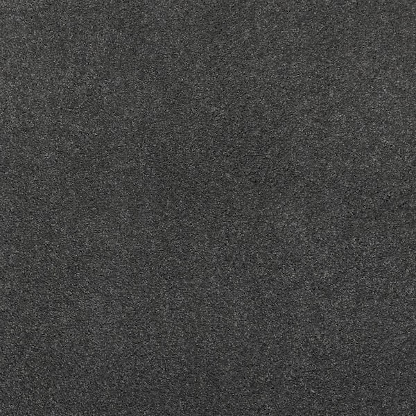 Lifeproof with Petproof Technology Plush Dreams III - Soothing-Gray 12 ft. 68 oz. Triexta Texture Installed Carpet