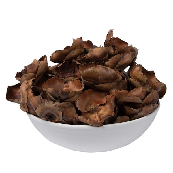 Vickerman 2.75 in. Brown Preserved Palm Cap, 100 Per Pack