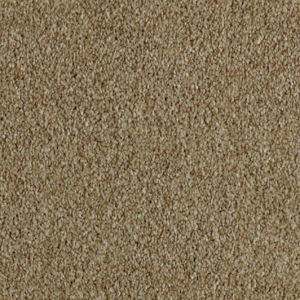 Lifeproof 8 in. x 8 in. Texture Carpet Sample - Phenomenal II -Color Early Dawn