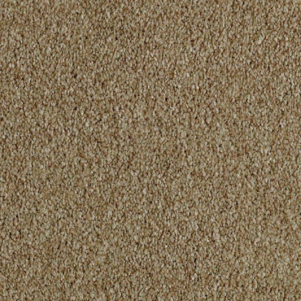 8 in. x 8 in. Texture Carpet Sample - Phenomenal II -Color Fossil Stone price history on PriceWatchPro