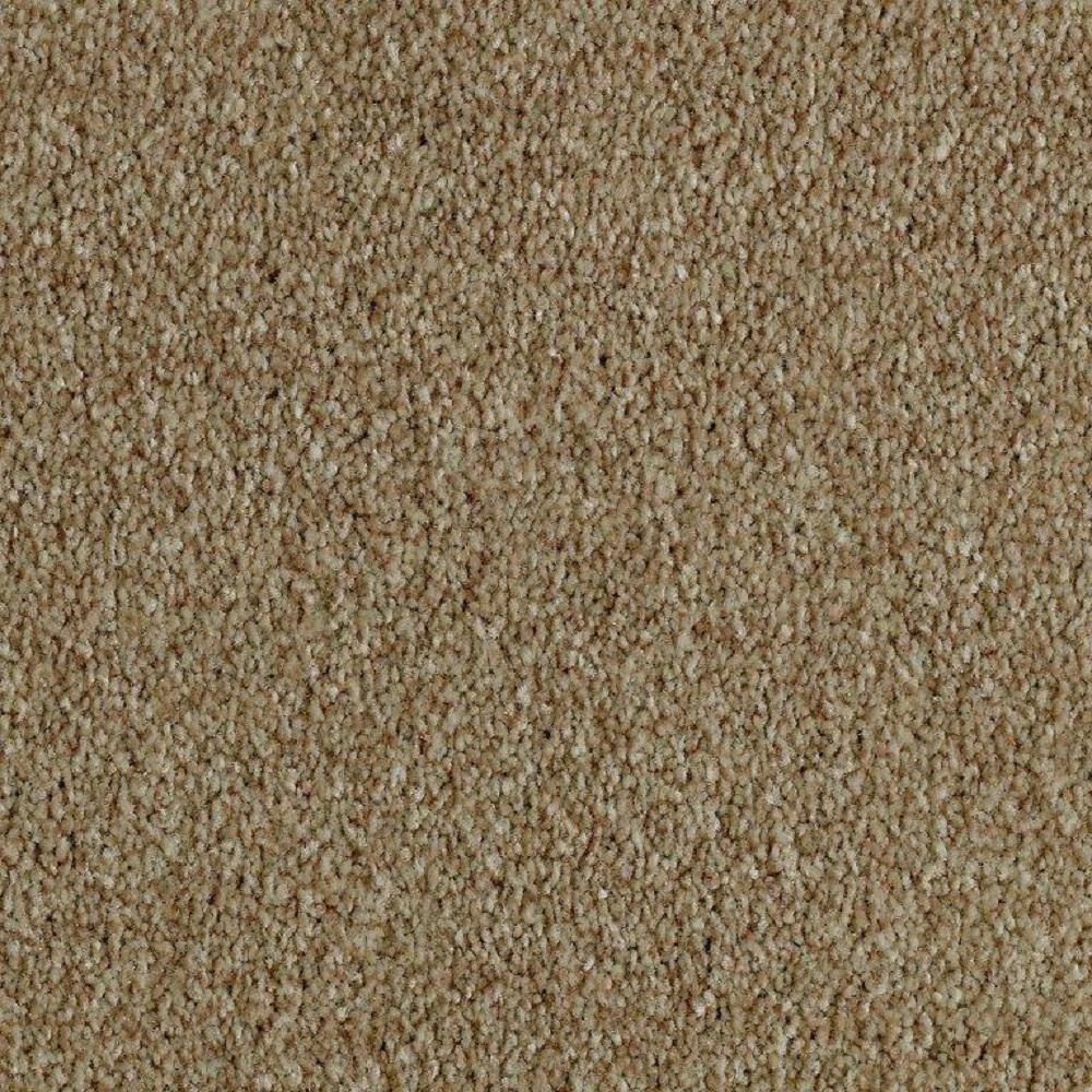 8 in. x 8 in. Texture Carpet Sample - Phenomenal II -Color Orion price history on PriceWatchPro