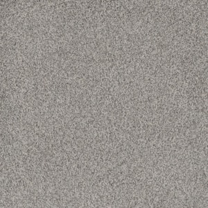 Westchester I - Stargazer - White 50 oz. Polyester Texture Installed Carpet