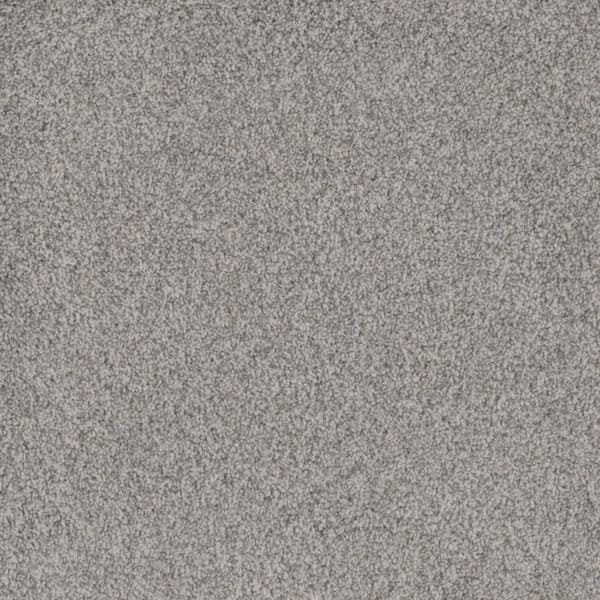 Home Decorators Collection Westchester I - Stargazer - White 50 oz. Polyester Texture Installed Carpet