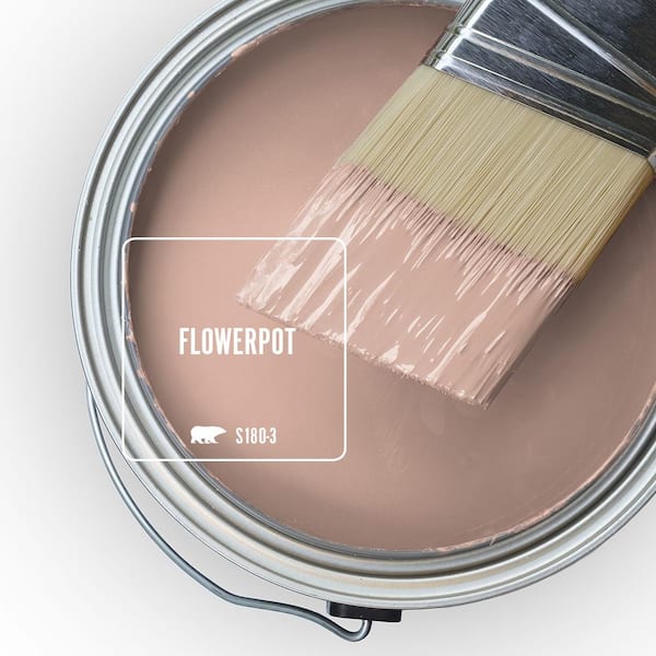 Light-Medium Tan Paint Colors  Peel & Stick Samples, 24 hr. Shipping