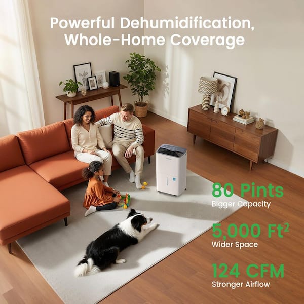 https://images.thdstatic.com/productImages/16b59b73-dfc5-4da3-a38d-3b2fa5b67c92/svn/white-waykar-dehumidifiers-hdcx-80a-chwa-c3_600.jpg