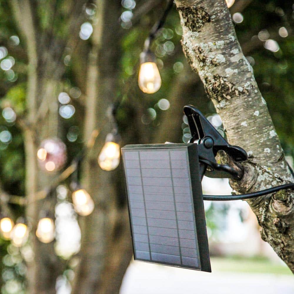 Black 5.5" LED Dusk to Dawn Solar Panel