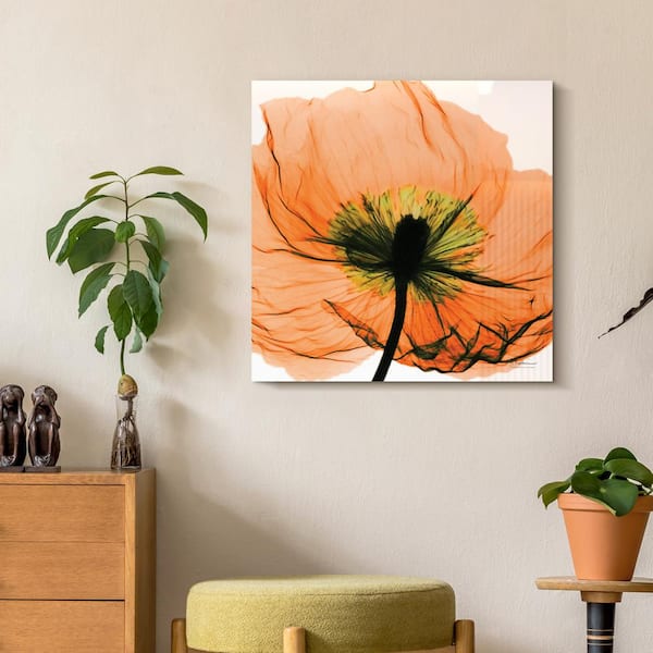 Empire Art Direct "Poppy Orange" Frameless Free Floating Tempered Glass Panel Graphic Wall Art product high in.24 x Width in.24