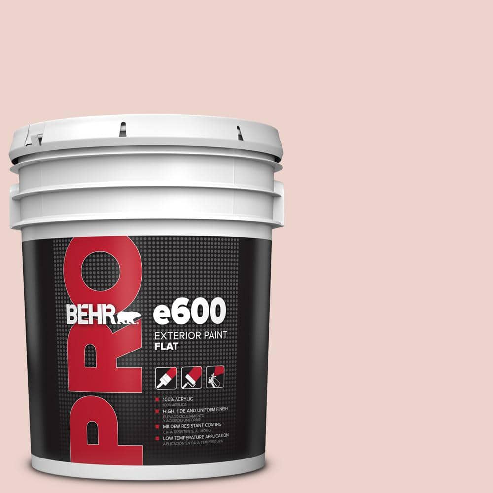 5 gal. #190E-2 Misty Memories Flat Exterior Paint price history on PriceWatchPro